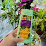 Dabo Tropical Cocktail Perfume Body Lotion