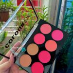 Technic Color Fix Blush Palette (Blush, Makeup, Face)