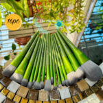 Maange 16ps Brush Set