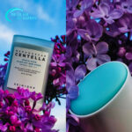 Skin1004 Sunstick Madagascar Centella Hyalu-Cica Silky-Fit Sun Stick